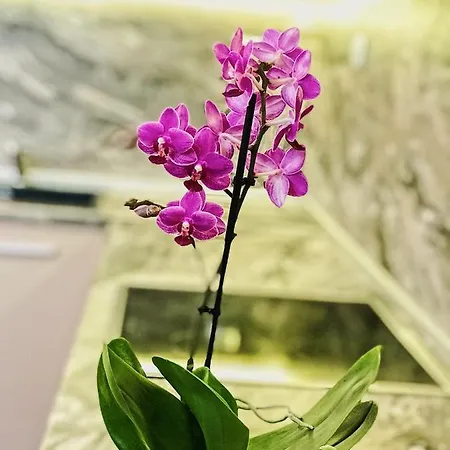 Spacious And Bright Maisonette Center Warna