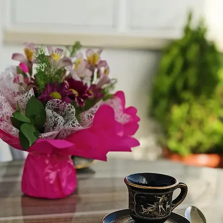 Spacious And Bright Maisonette Center